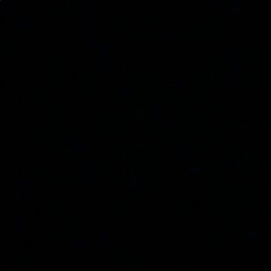 Meet your Posher, Owen